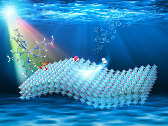 Figure 2. An illustration of visible-light-driven H2 evolution on ruthenium-dye/HCa2Nb3O10 nanosheet. Adopted with permission. Copyright 2020, American Chemical Society.