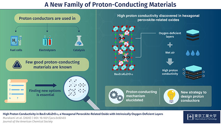 A New Family of Proton-Conducting Materials