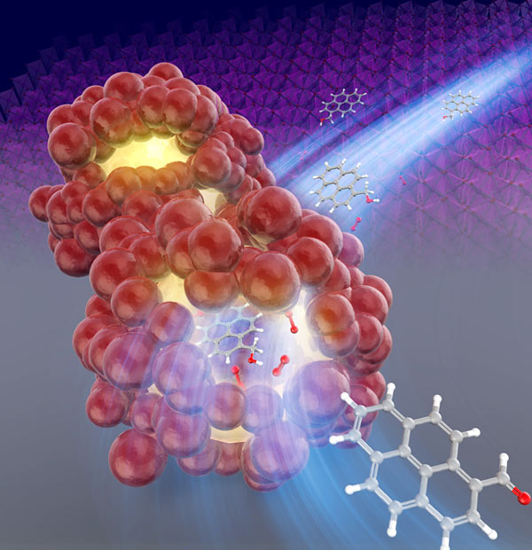 Acceleration of the chemical reaction by β-MnO2 catalyst in the nanospace of the particles