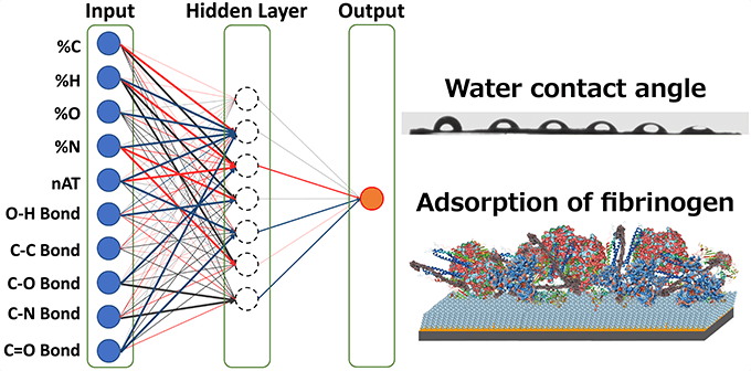 Figure 1. Artificial neural network model used in this work