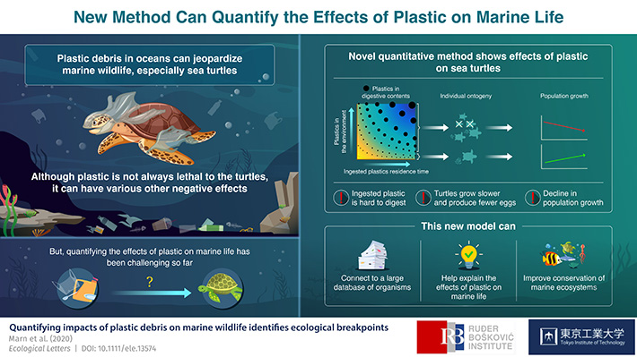 New method can quantify effect of plastic on marine life