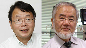 Professors Hideo Hosono and Yoshinori Ohsumi chosen as Thomson Reuters Citation Laureates