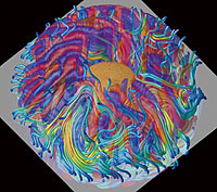 Shown here is a TSUBAME-generated image of the geomagnetic field and axial-vorticity distribution in the earth's core.