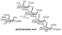 Synthesis of a(2,8) tetrasialic acid.