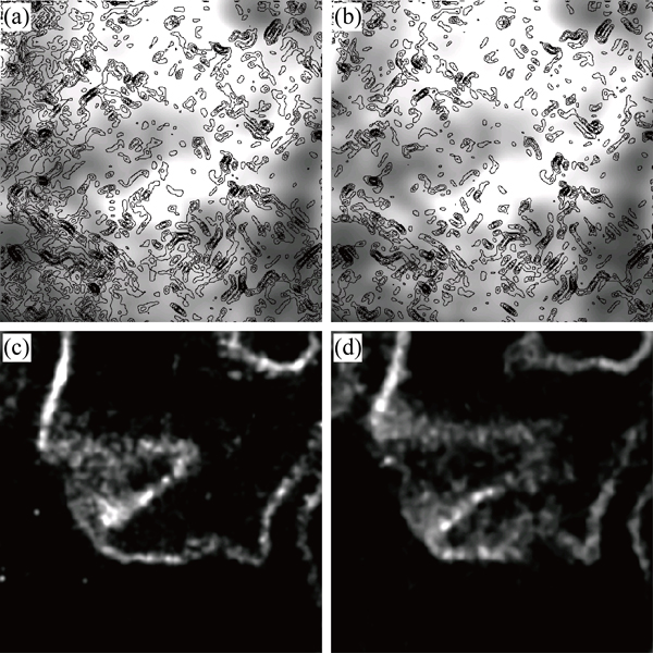 Strain-rate effects in turbulent combustion.