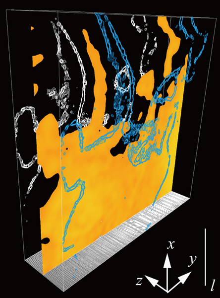 Three-dimensional flame structure.