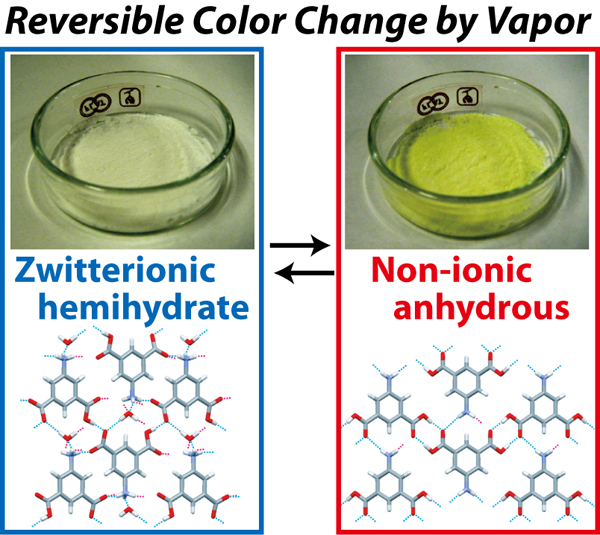 Reversible color change of 5-aminoisophthalic acid by solvent vapor