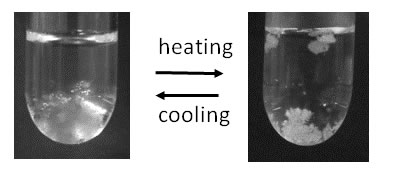 The apparatus for cold electron collision experiments employing the threshold photoelectron source.