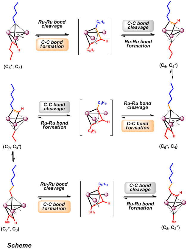 A plausible mechanism for the consecutive recombination of hydrocarbyl ligands on the Ru3 cluster.