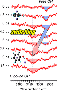 Shown in the figure are picosecond time-resolved IR dip spectra of PhOH+-Ar2 as a function of the delay time after the ionization process. The vibrational wave number of the OH group changes from higher to lower within seven picoseconds. This clearly presents the formation of an OH...argon hydrogen-bond.