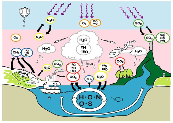 Tracing material cycles through isotopomers