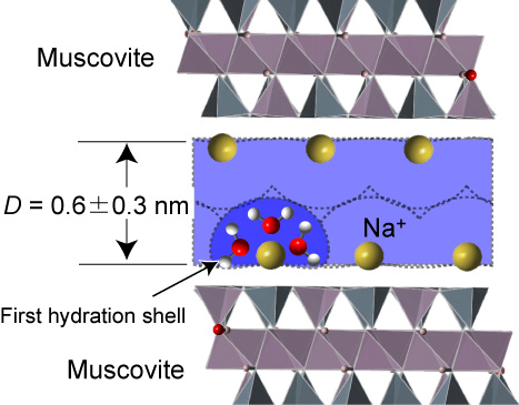 ESchematic illustration of the NaCl solution confined between mica surfaces. The water molecules in the first hydration shell of the Na+ ions act similar to ball-bearings.
