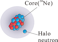 Image of halo structure of 31Ne revealed in our experiments. The 31Ne was found to be composed of a tightly packed deformed 30Ne core surrounded by an extended halo neutron.