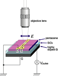 Figure 1: Schematic image of the organic field-effect transistor (OFET) device and its electrical connections.