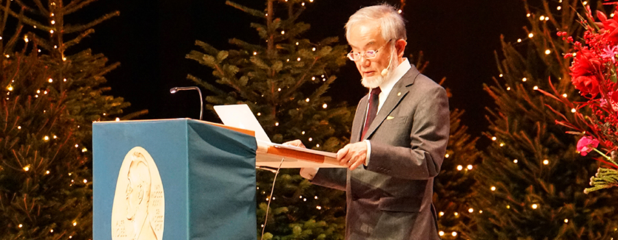 Transcript of Nobel Lecture by Yoshinori Ohsumi