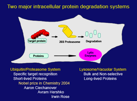 Slide 17