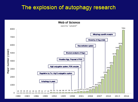 Slide 67