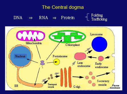 Slide 7