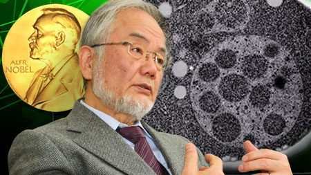 Yoshinori Ohsumi Fund