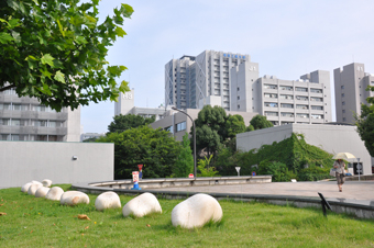 Outdoor display and buildings of the Suzukakedai Campus