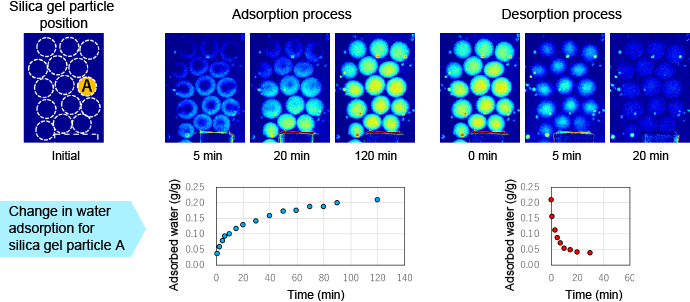 X-ray visualization analysis of water adsorption and desorption in silica gel particles