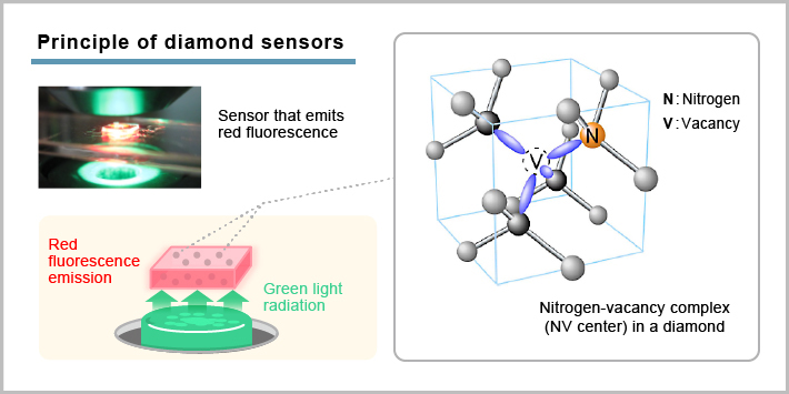 Principle of diamond sensors