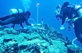 Field survey near Ishigaki Island, Okinawa