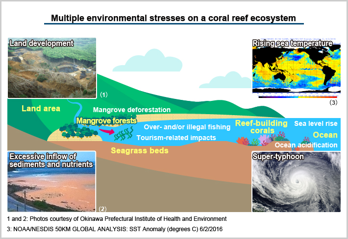 Multiple environmental stresses on a coral reef ecosystem