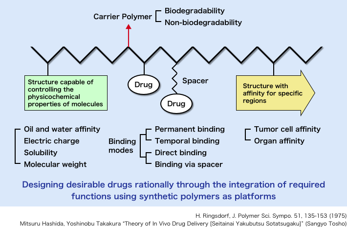 Polymer drug model developed by polymer chemist Helmut Ringsdorf