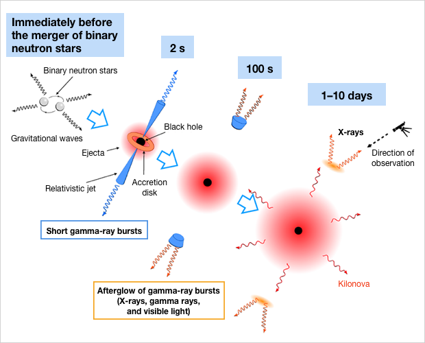 Gamma-ray bursts emitted by the merger of binary neutron stars