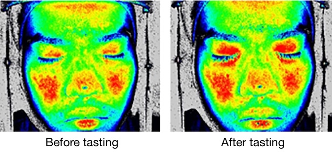 Facial blood flow changes in a subject who felt that consommé tasted good. Red areas indicate high blood flow, and blue areas indicate low blood flow. After tasting the consommé, blood flood in the eyelids increased. (Palatability of tastes is associated with facial circulatory responses, Chemical Senses)
