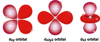 Types and shapes of electron orbitals of atoms