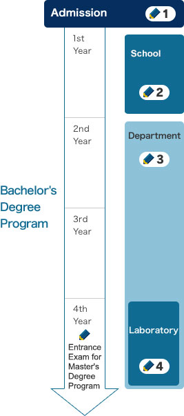 Bachelor's Degree Program