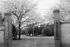 1938, Main Gate and the statue of Dr. Tejima who laid the foundation of Tokyo Tech