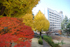 Autumn colours and West Building 8