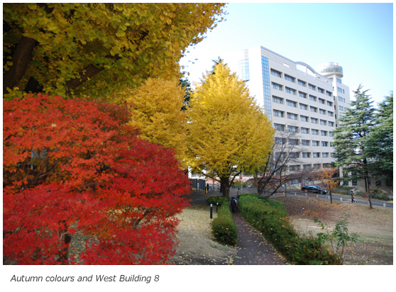 Autumn colours and West Building 8