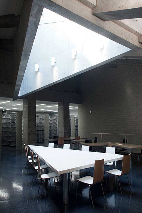Amazing things about the Tokyo Tech library