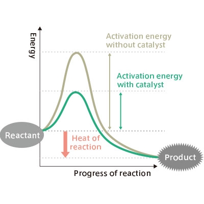 A catalyst is a substance that lowers the activation energy needed for a reaction. 