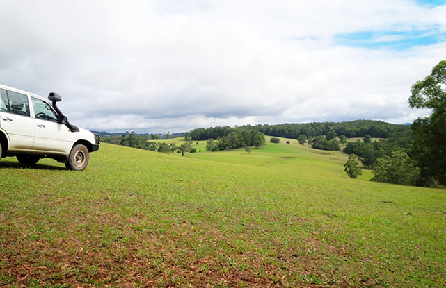 Field work in Gippsland, Victoria