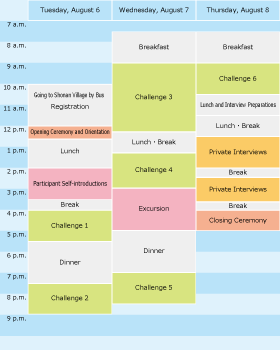 Outline of the Summer Challenge 2013