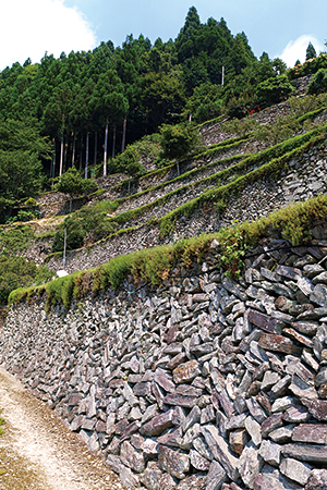 The terraced landscape of Takagai-no-Ishizumi