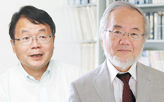 Professors Hideo Hosono and Yoshinori Ohsumi chosen as Thomson Reuters Citation Laureates