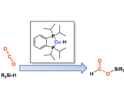 Chemical transformation of carbon dioxide: Copper diphosphine complexes as catalysts for hydrosilylation