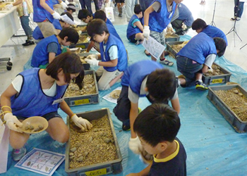 Looking for fossils