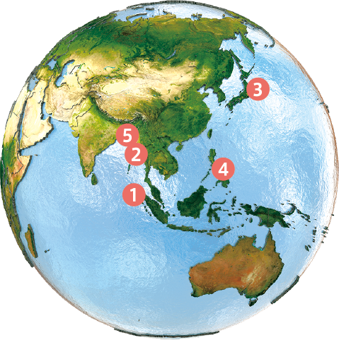 Five worst coastal disasters in the world since 2001 by approximate casualty count