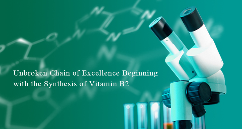 Unbroken Chain of Excellence Beginning with the Synthesis of Vitamin B2