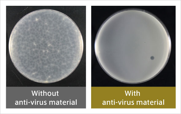 Antiviral activity against enveloped viruses similar to COVID19 (after 6 hours). Almost all plaques are found to have disappeared.