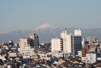 Mount Fuji Viewing Slope