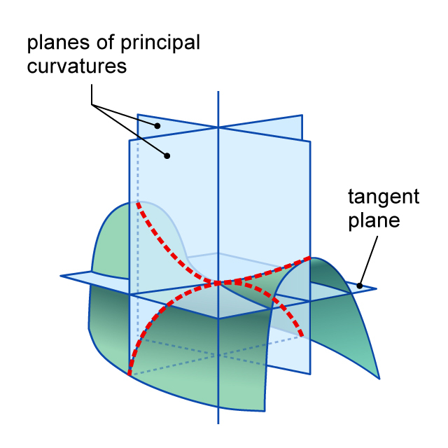 The curvatures of each of the two red dotted lines are the two principal curvatures