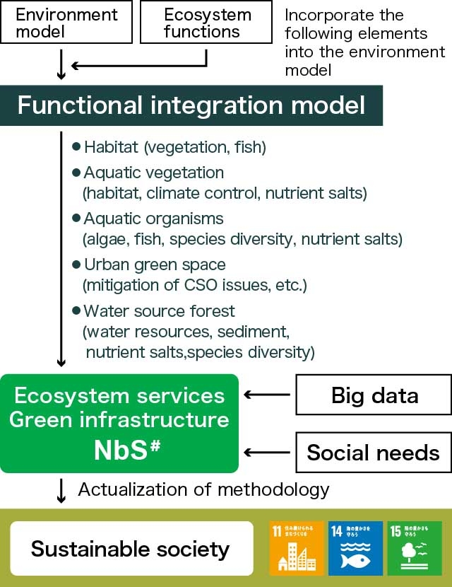Integration of ecosystem services into aquatic ecosystem models. Improving and integrating various environmental models and enabling the quantitative evaluation of ecosystem functions and ecosystem services will contribute to achieving a sustainable society. #: Nature-based Solutions (solutions to social issues rooted in nature)
